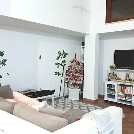 Apartment Openspace Con Free Parking Rome