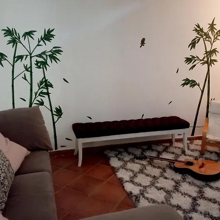 Openspace Con Free Parking Apartment *